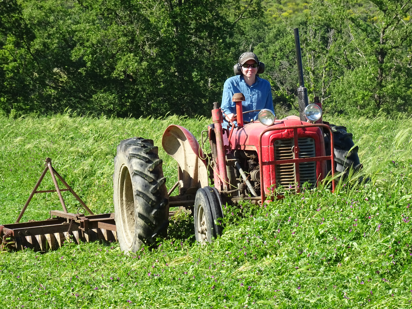 Agricultural machinery at Bouriech